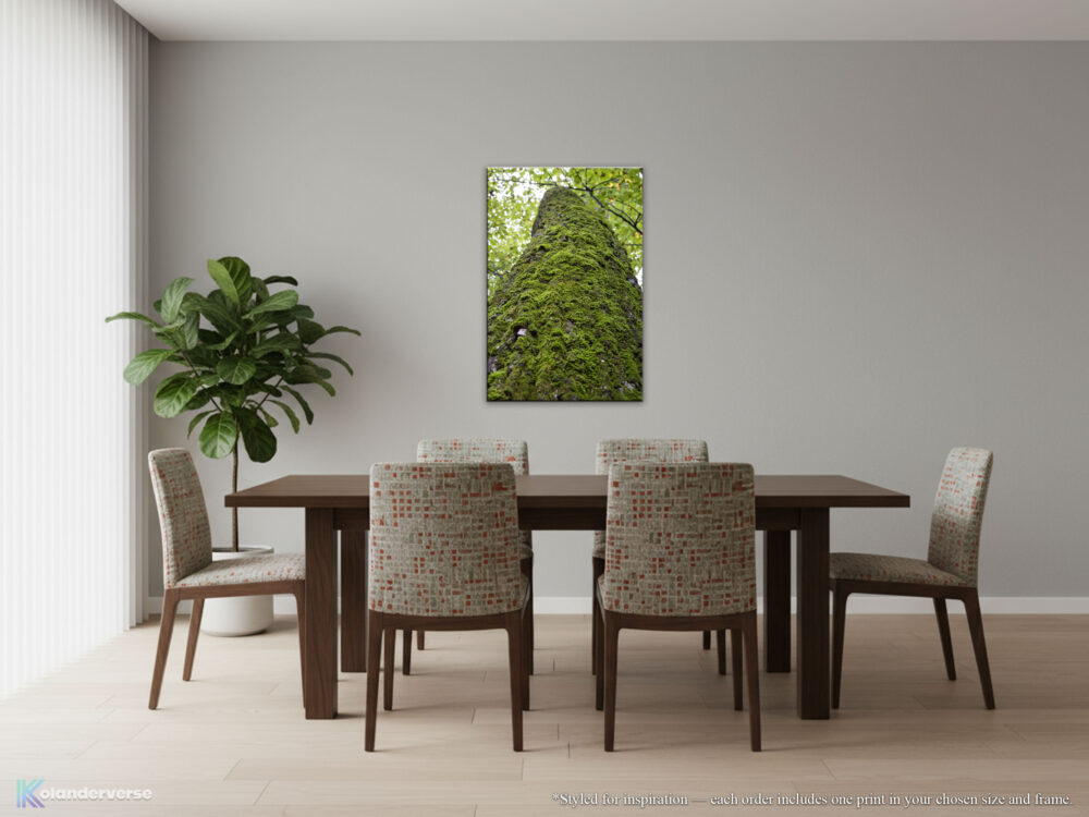Tree Moss and Sky - Forest, Ramsey Park Minnesota canvas print hanging above the table in a dining room.