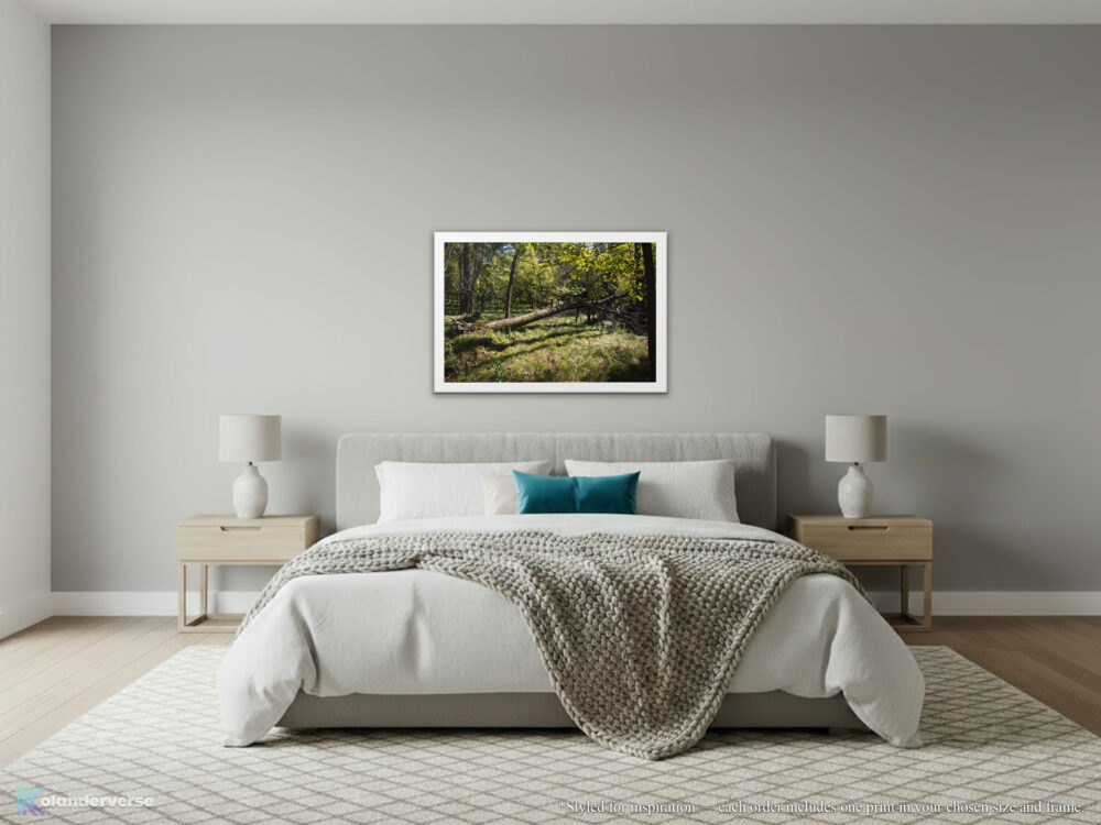 Fallen Tree in Ramsey Park Forest white framed Print hanging on neutral colored bedroom wall.