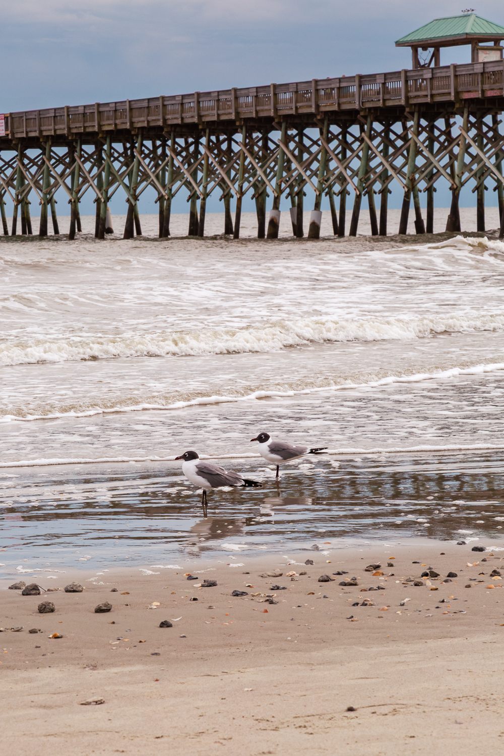 Photography Art Gallery