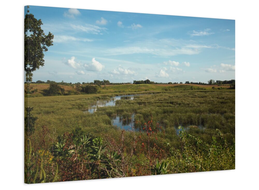 Wolf Lake Prairie Wetland, Minnesota - Fine Art Photography Print - Canvas Print, 36" x 24"