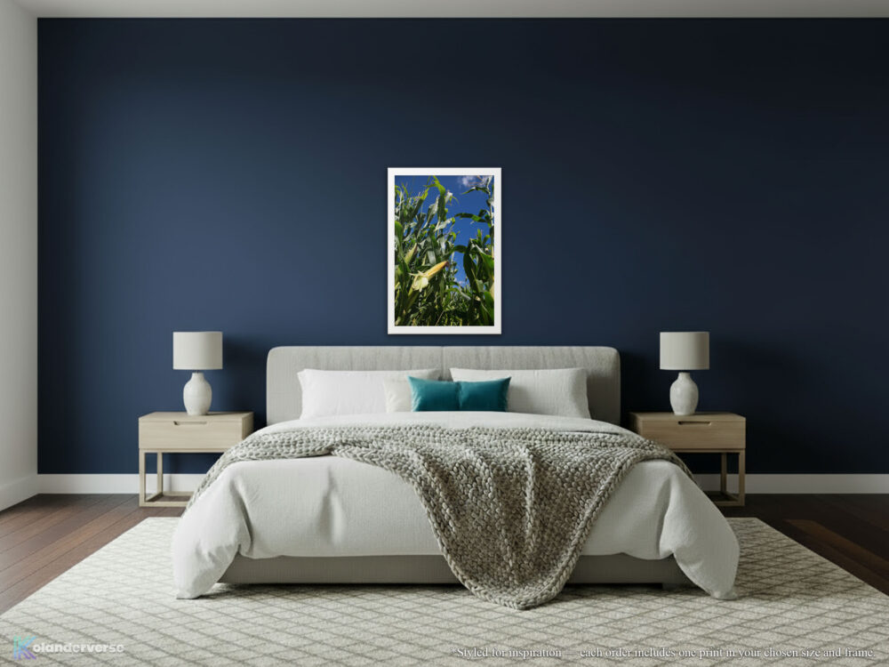 Corn Cob in Cornfield white framed print hanging on navy wall in a modern bedroom