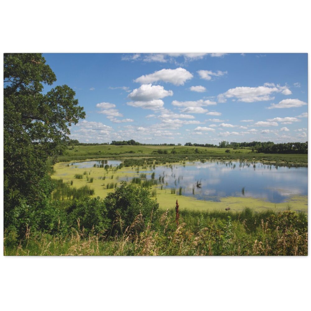 Wolf Lake on a wet summer day at the Windom Wetland Conservation Area -wide open water, duckweed, and a sky full of clouds reflected across the surface of a southwestern Minnesota prairie pothole.