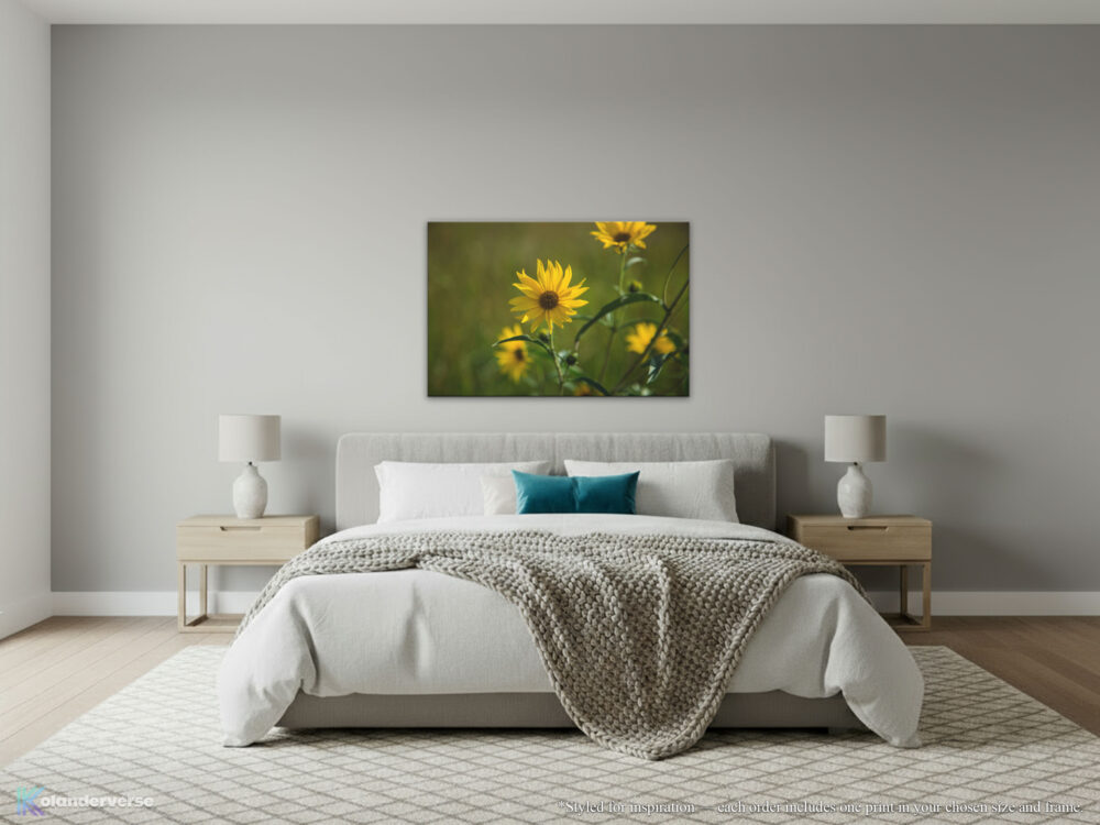 Golden Maximilian Sunflower canvas print hanging on bedroom wall