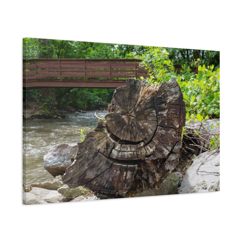 Tree Cross Section Ancient Rings canvas print sideview