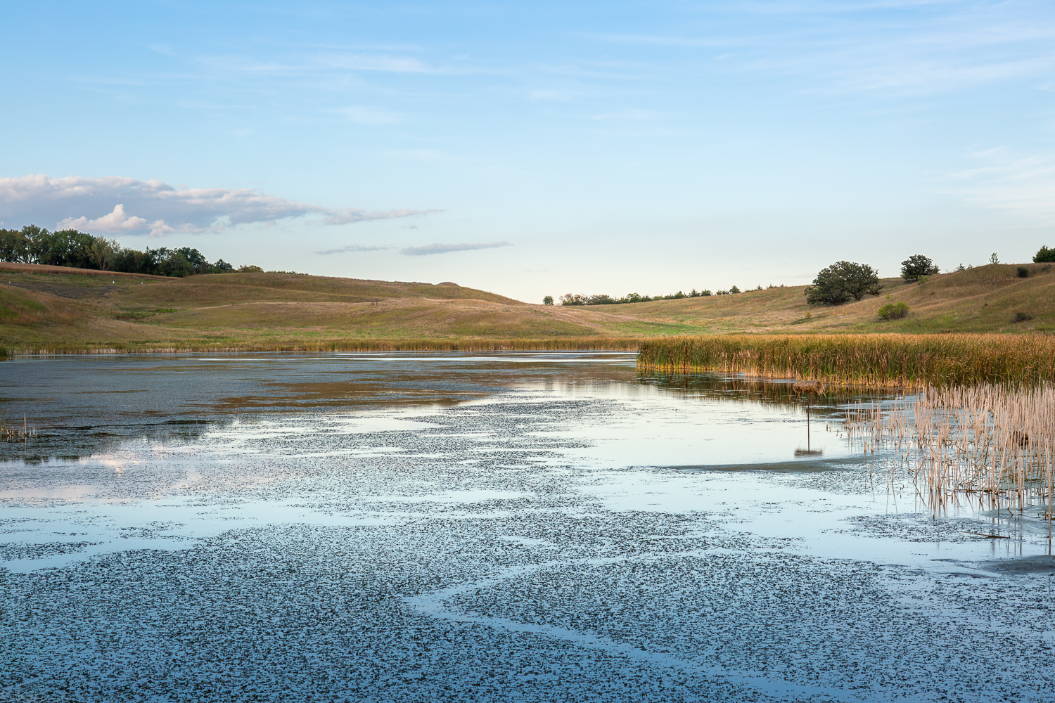 Calm prairie lake in rural Minnesota with soft blue sky and rolling grassland hills