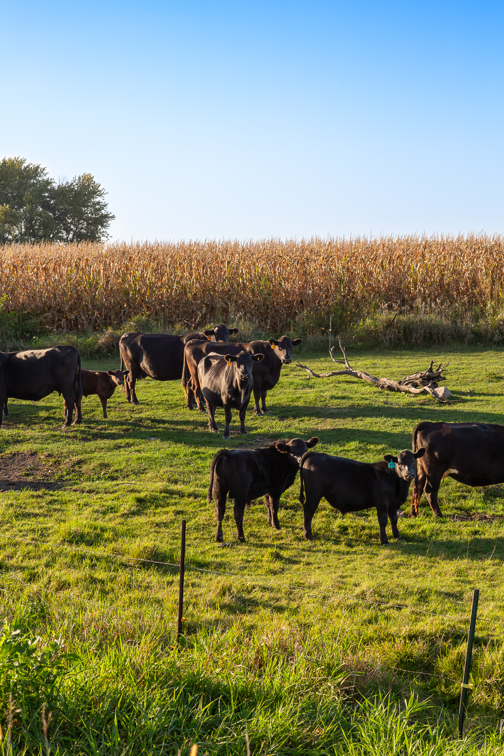 Photography Art Gallery