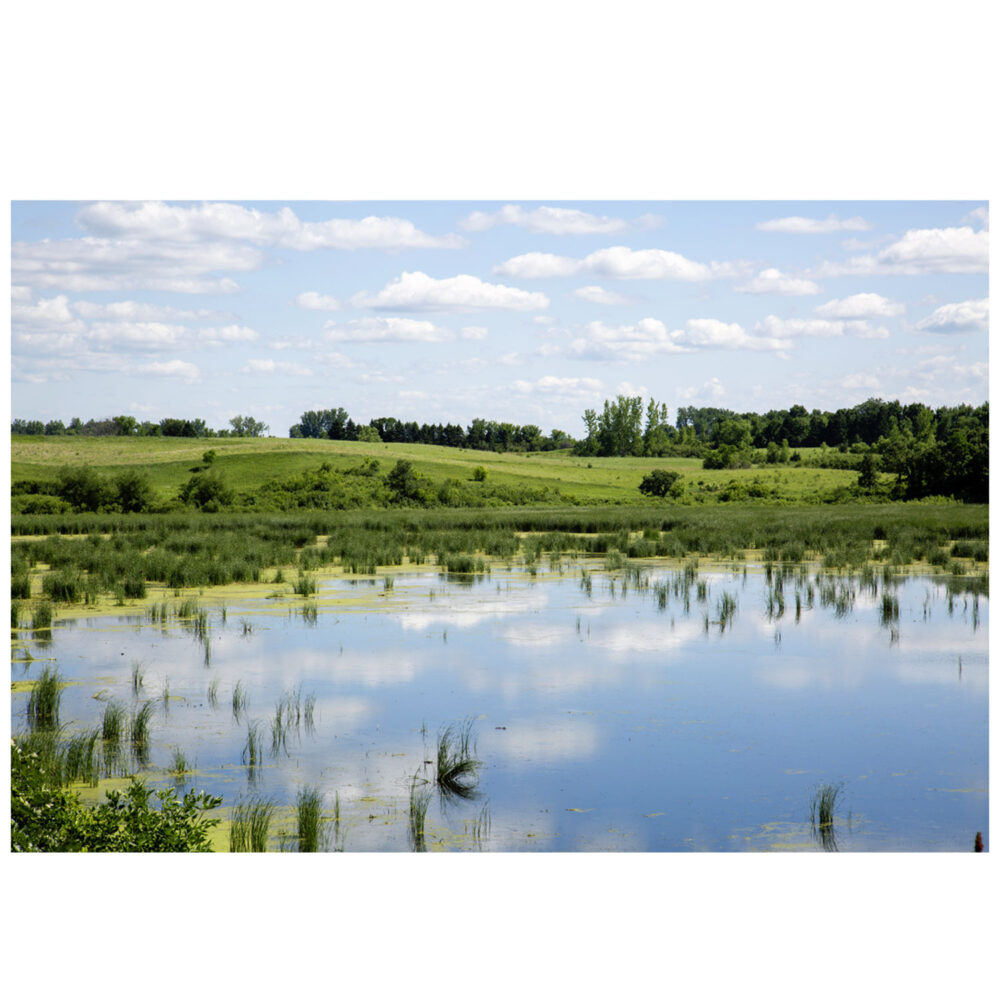 Open water reflecting summer clouds at Wolf Lake, Windom Wetland Management District, Cottonwood County, southwestern Minnesota