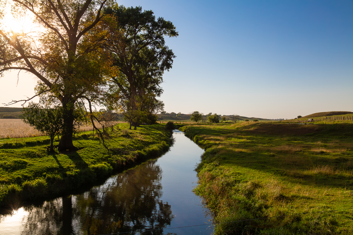 Minnesota farm landscape art featuring a calm creek reflecting trees and blue sky in a Cottonwood County Minnesota pasture with a soybean field and cows at sunset.