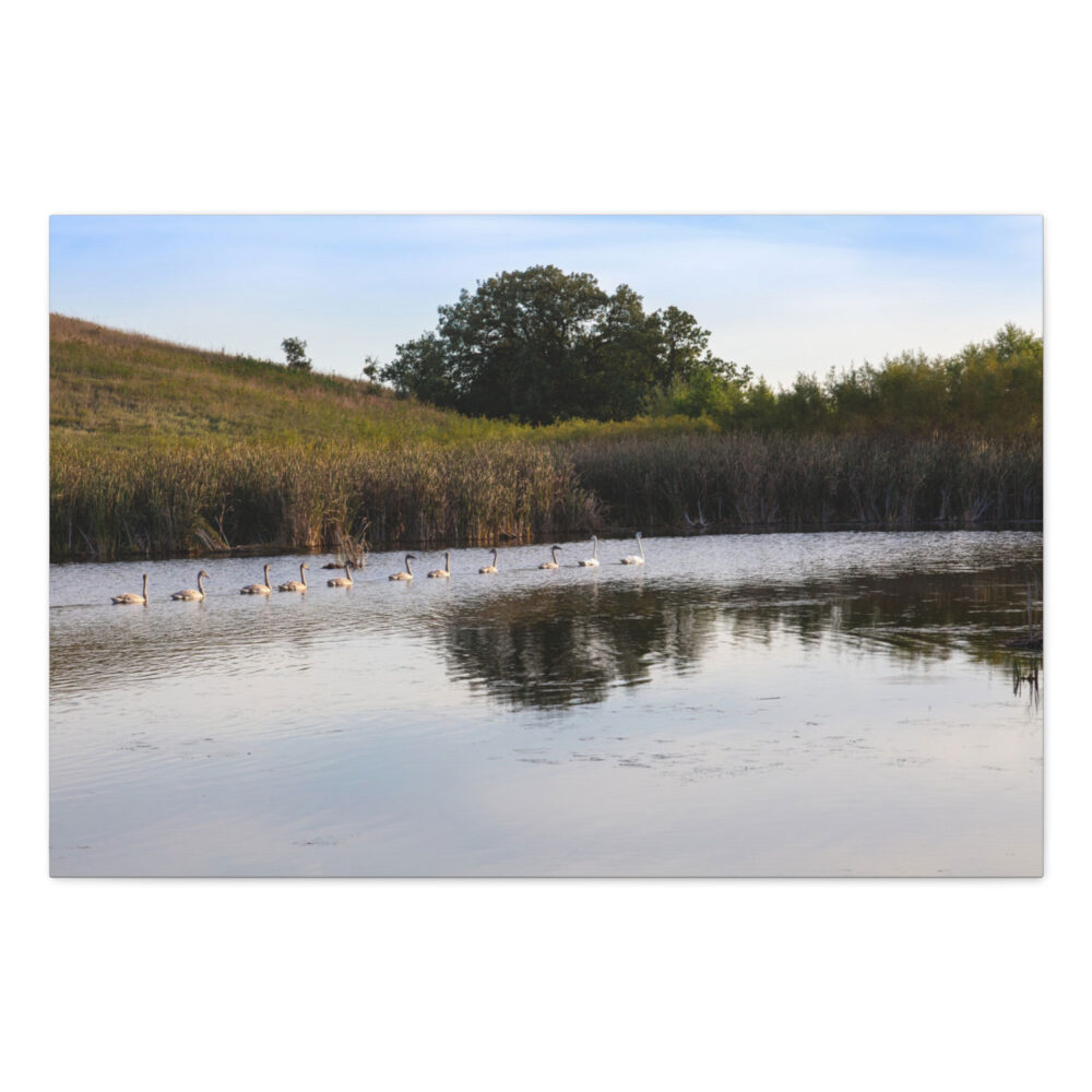 Minnesota Wetland Nature Art Canvas or Paper Print