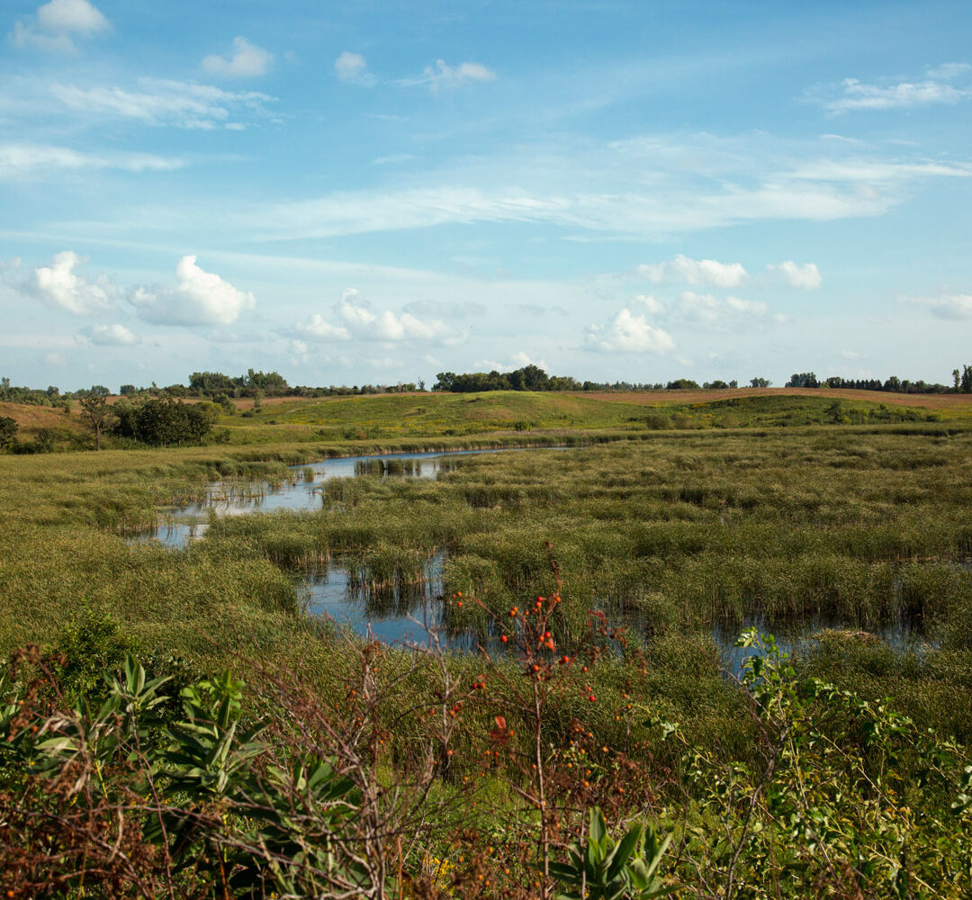 Minnesota prairie wetland with winding marsh water and open horizon under blue sky