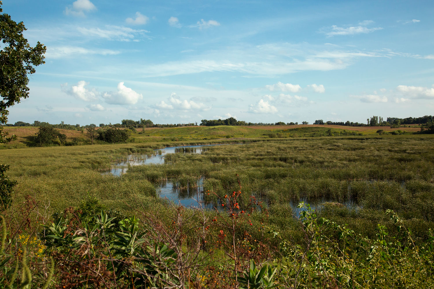 Minnesota prairie wetland with winding marsh water and open horizon under blue sky