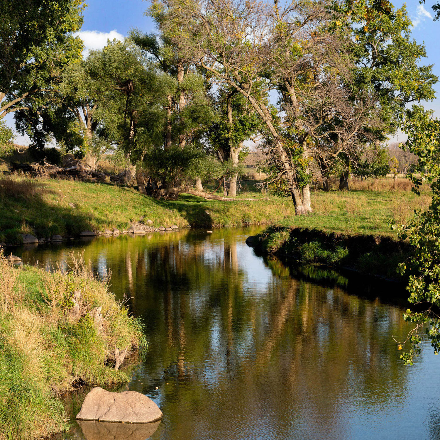 Southwestern Minnesota Prairie Art
