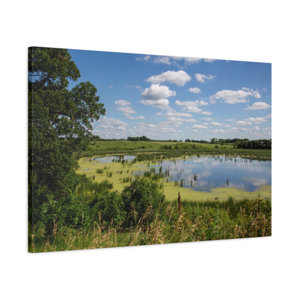 wetlands conservation area