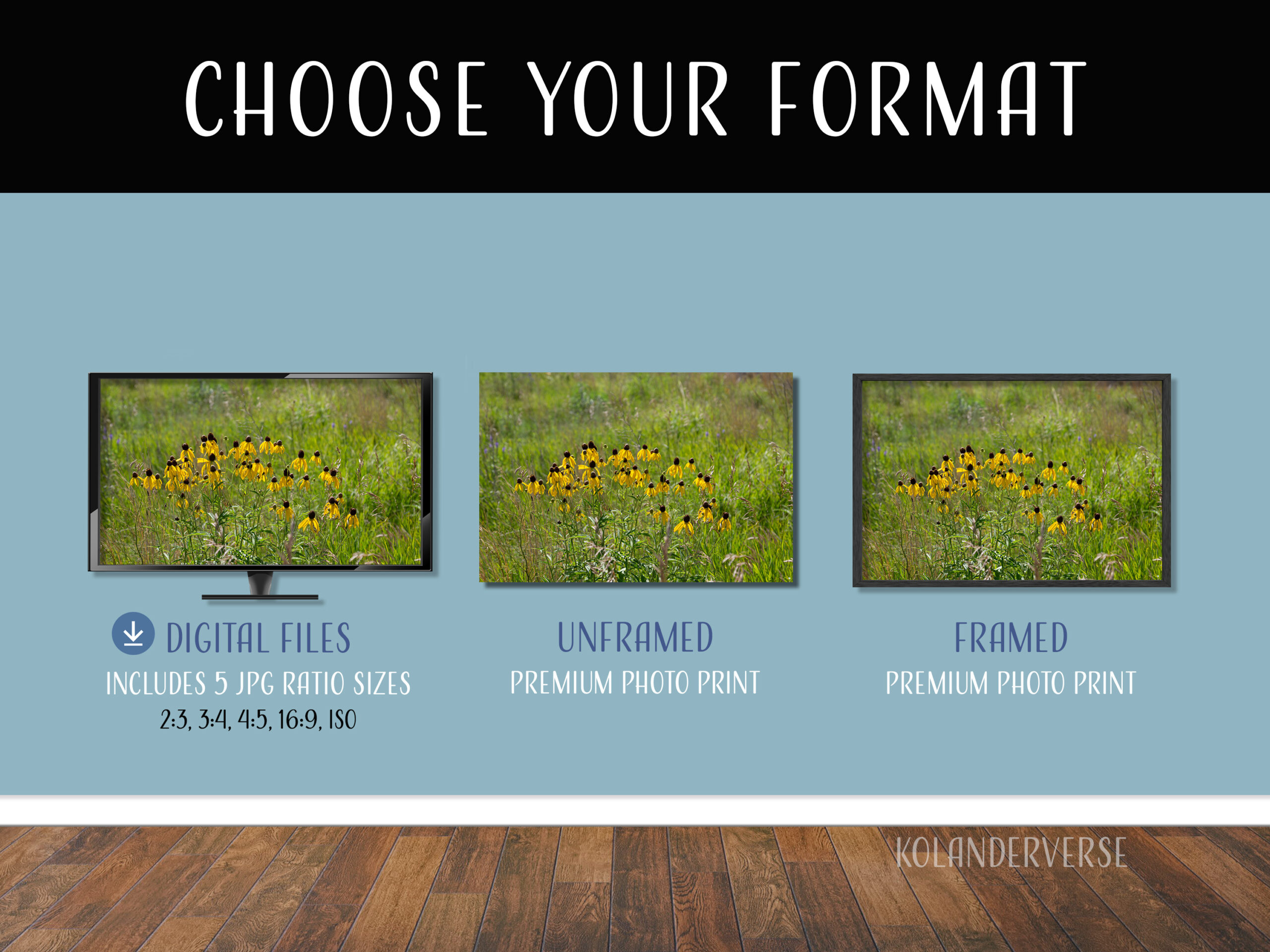 Yellow Coneflowers Photograph, Minnesota Wildflowers Wall Art 4 Yellow Coneflowers Photograph, Minnesota Wildflowers Wall Art - Image 4