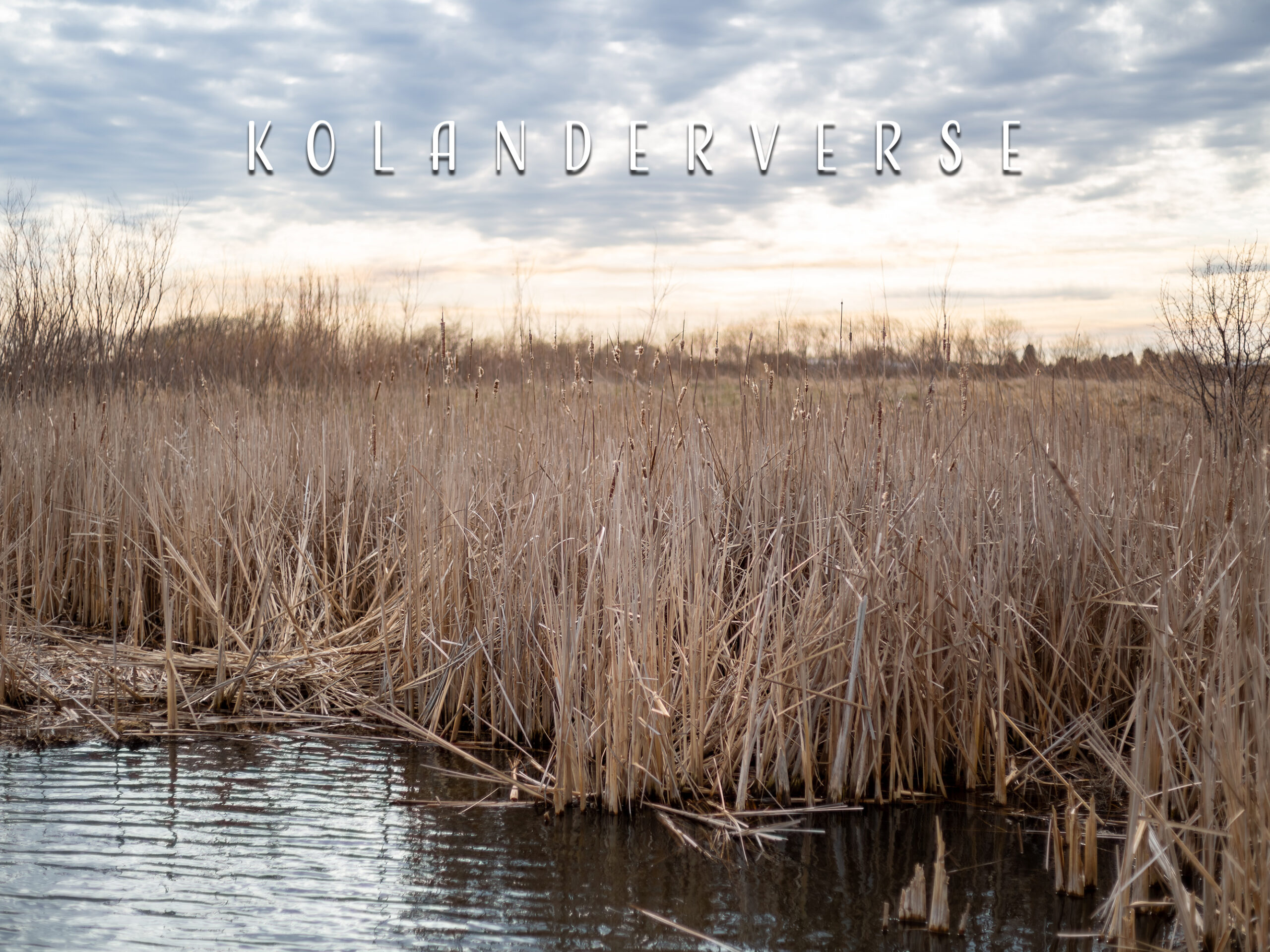 Minnesota Cattails Wetland Print, Autumn Nature Landscape