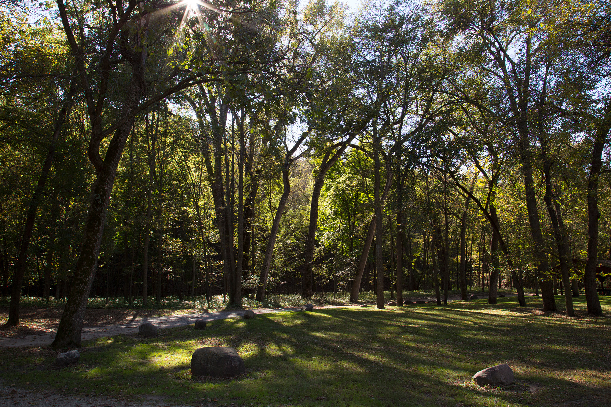 Ramsey Park Redwood Falls 5 Beautiful light shining through the trees near the hiking trail at Ramsey Park. Lined with rocks for decoration.