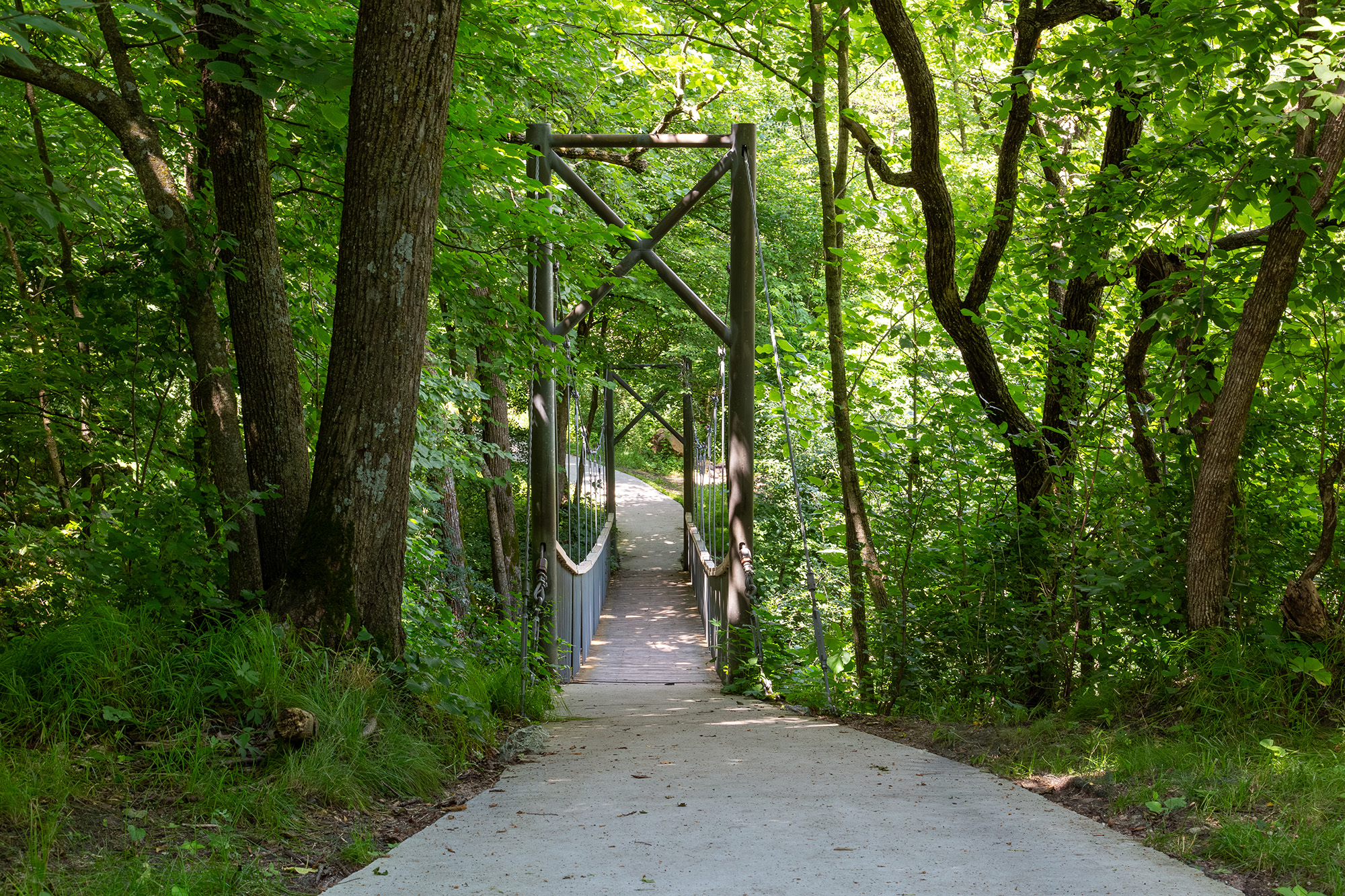 Ramsey Park Redwood Falls 12 While walking through the trails at Ramsey park in Redwood Falls, Minnesota, you arrive at a suspension bridge to walk across.