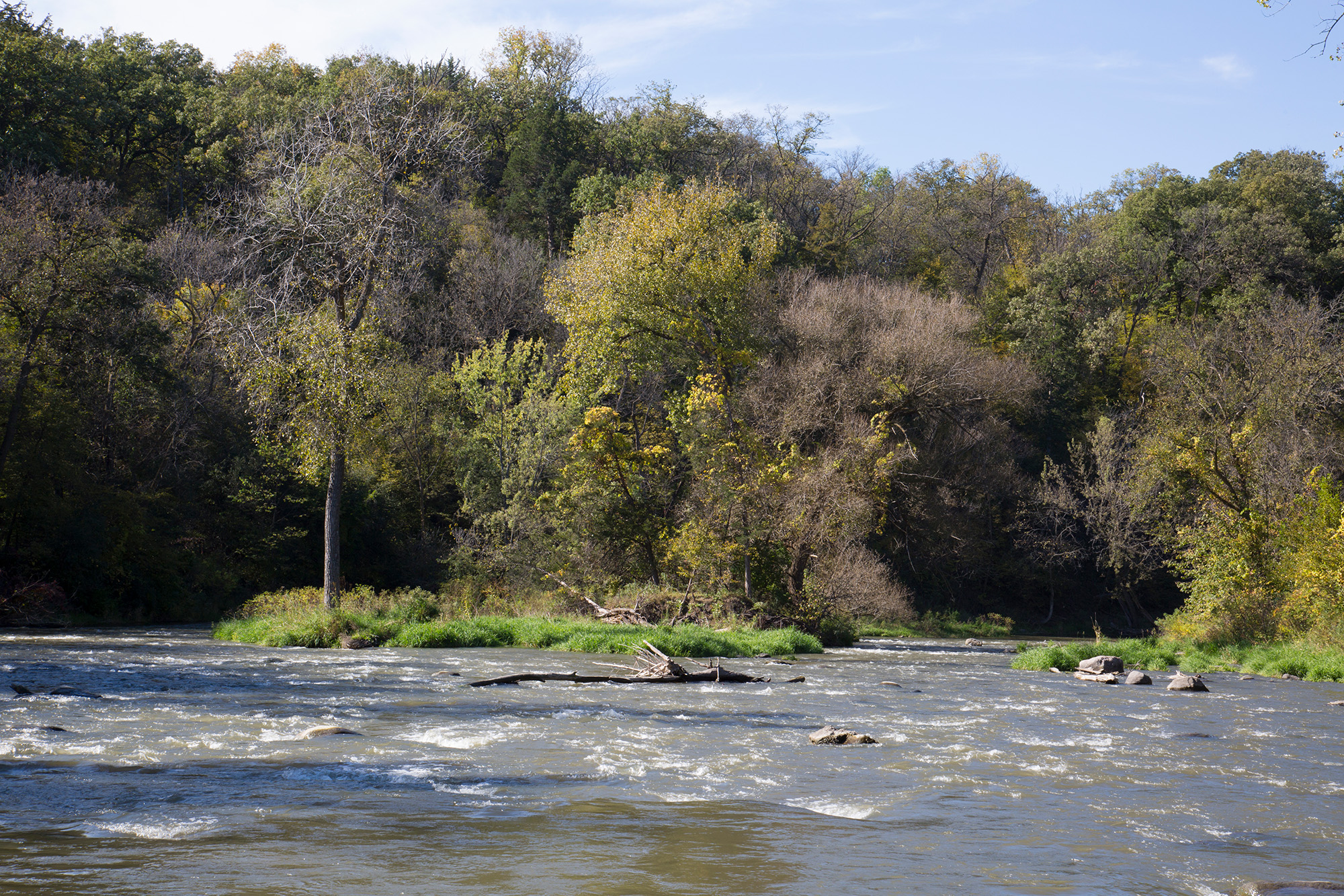 Ramsey Park Redwood Falls 4 Redwood Falls river splits into 2 briefly to go around the small "girl scout" island with trees.