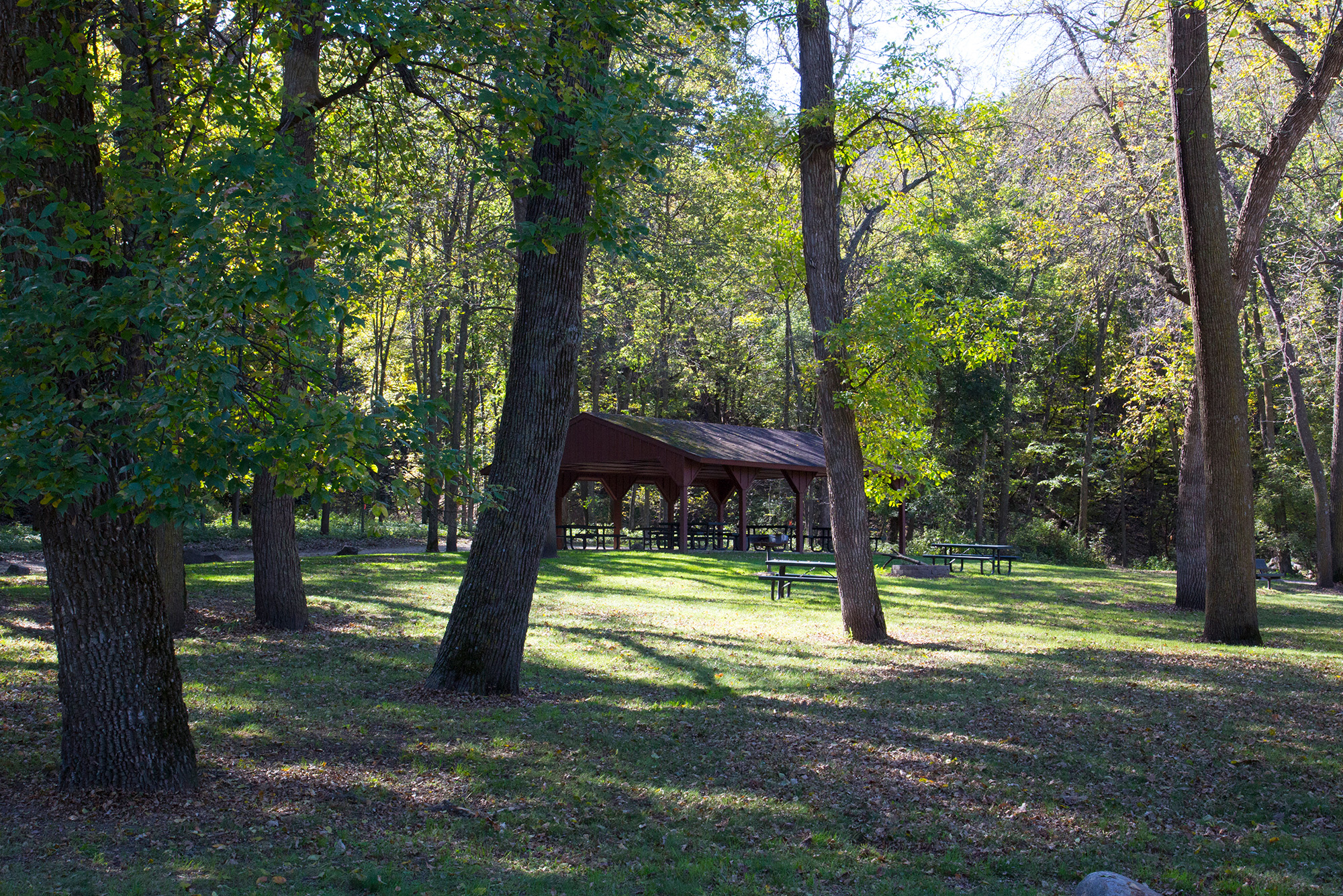 Ramsey Park Redwood Falls 6 Shelter house in the distance surrounded by trees and sunlight shining through the woodland.