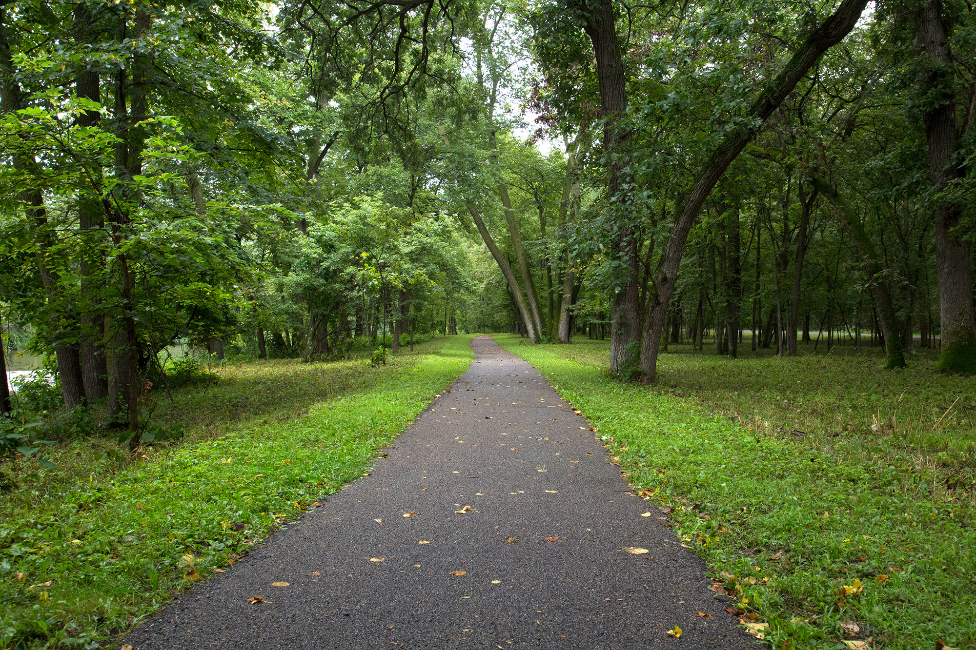 Ramsey Park Redwood Falls 7 Paved hiking trail through the trees on a cloudy day at Ramsey Park in Redwood Falls, Minnesota.