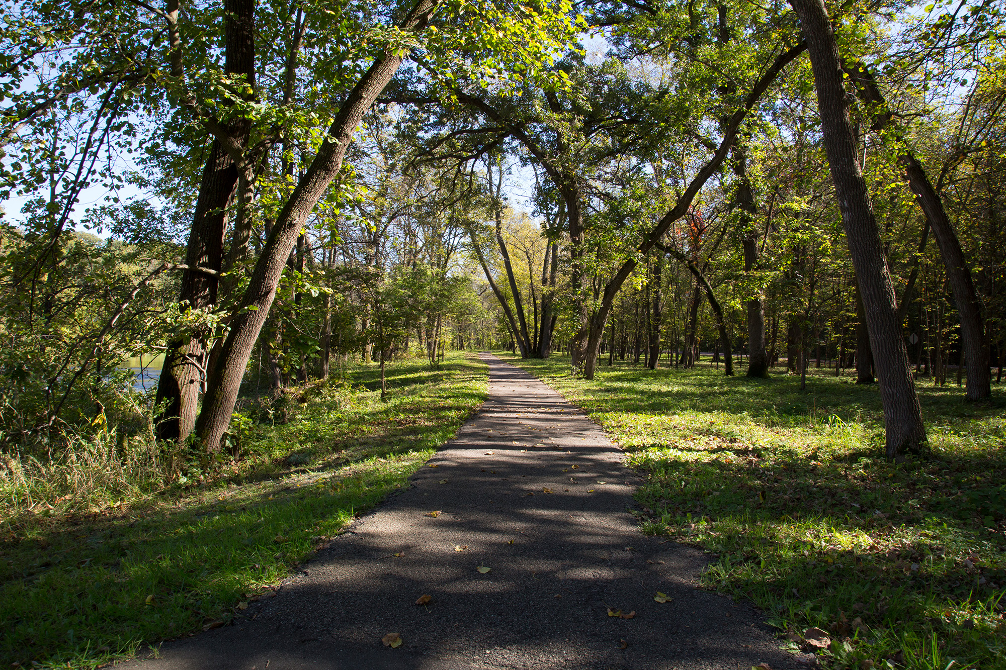 Ramsey Park Redwood Falls 8 Paved hiking trail through the trees with sunlight and dark shadows at Ramsey Park in Redwood Falls, Minnesota.