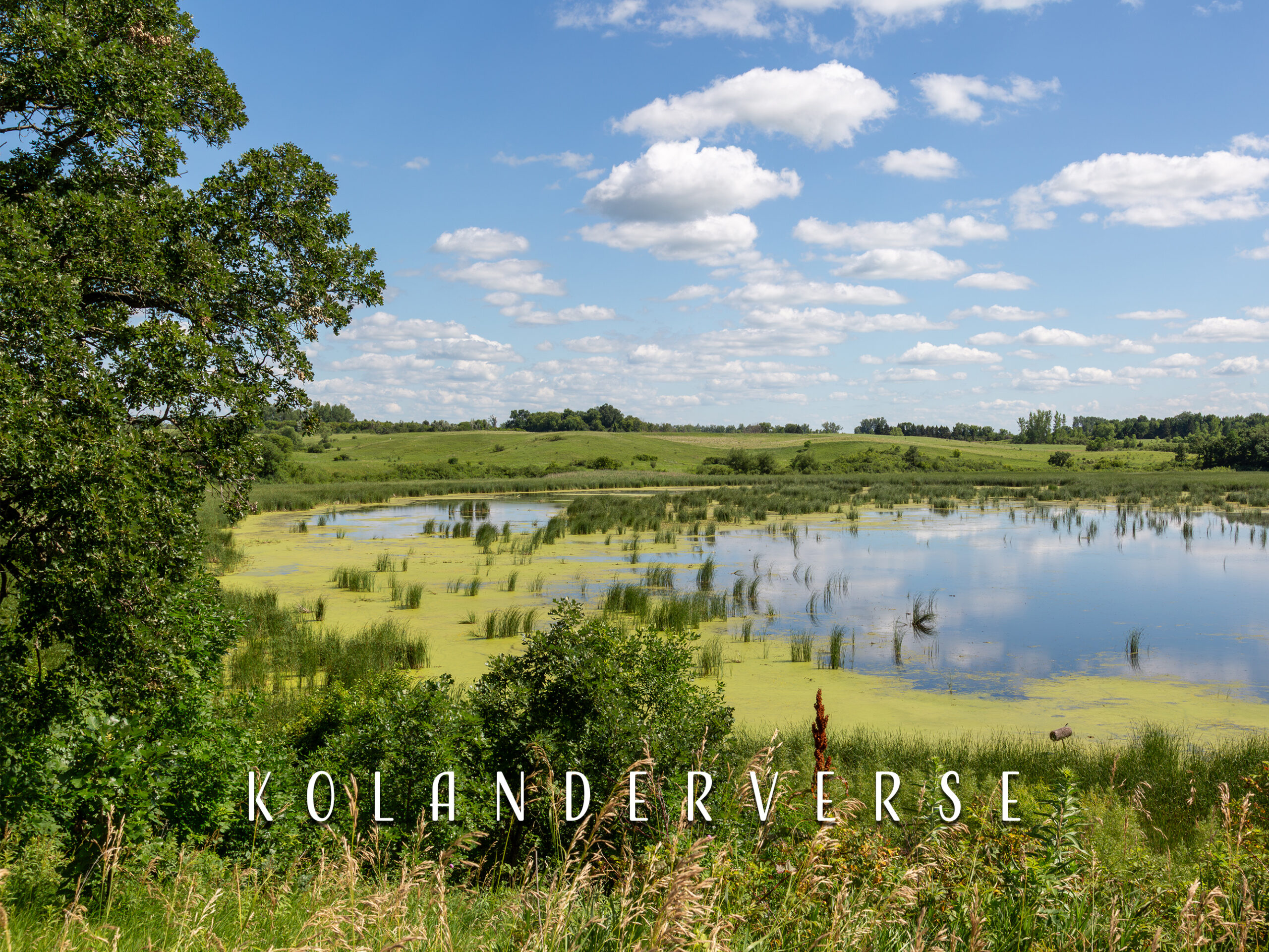 Wolf Lake Wetlands Summer Reflections, Minnesota Prairie Lakes Landscape