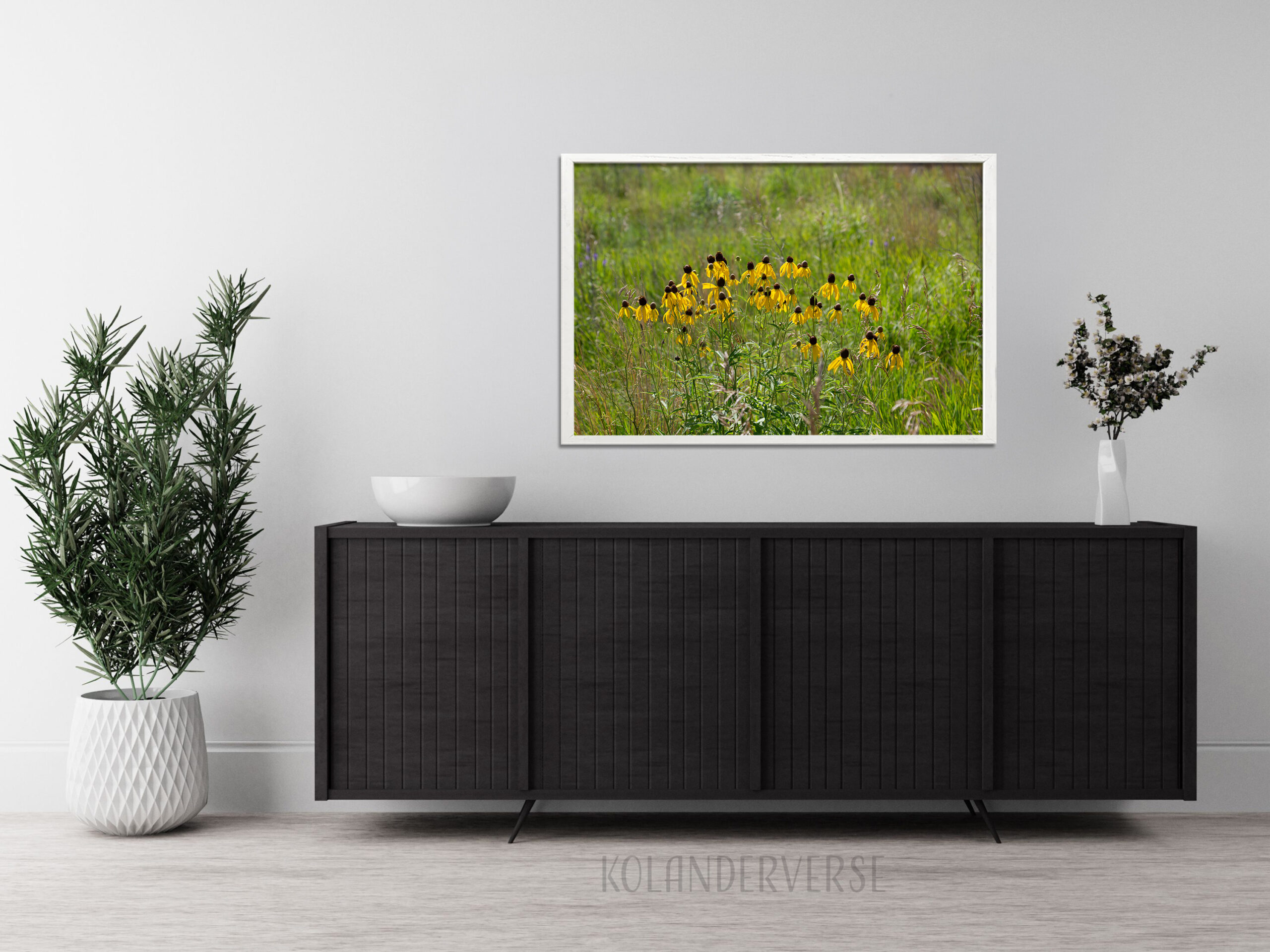 Yellow Coneflowers Photograph, Minnesota Wildflowers Wall Art 5 Yellow Coneflowers Photograph, Minnesota Wildflowers Wall Art - Image 5